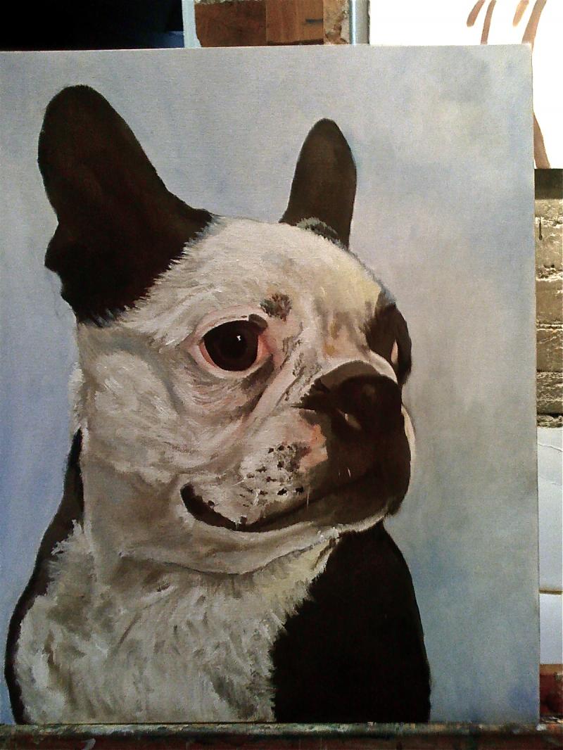 Stanley Pickles Boston Terrier Cornwall